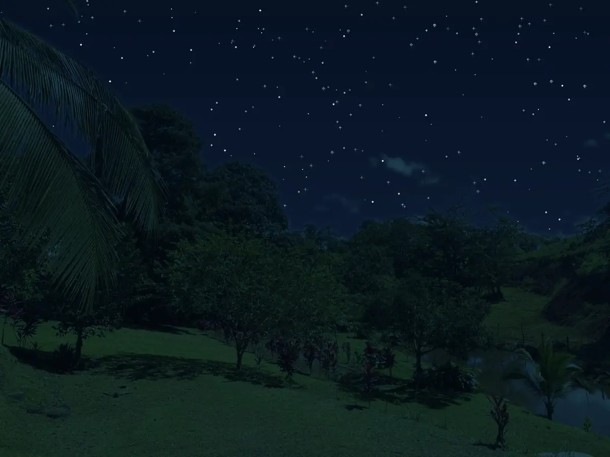 Noche de estrellas