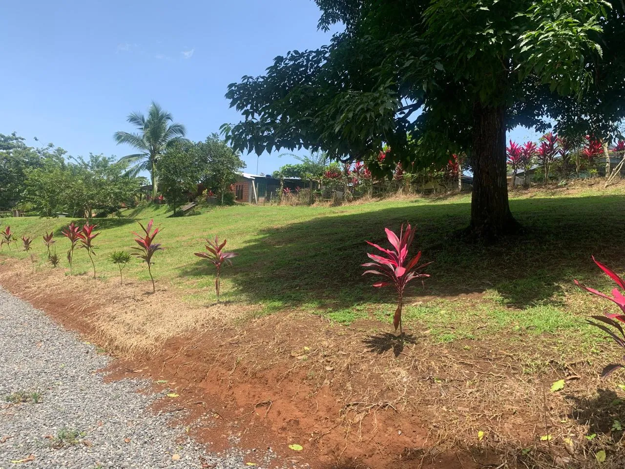 Noches estrelladas en Aguas Zarcas