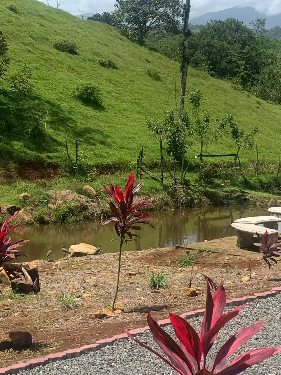 Cómo prepararte para un camping ecológico